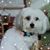Sue Bacon's profile image