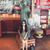 Madeline Guillen's profile image