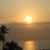 Cindy LeBouef Moss's profile image