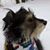 Doug Alchin's profile image