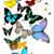Renee Butler Trahan's profile image