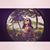 Yasameen Sajady's profile image
