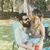 Stephanie Sligh's profile image