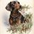 Mary Denman Mowery's profile image