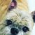 Wicket Paplue's profile image