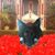 Katherine Betts Staggs's profile image