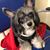 Lisa Strom's profile image