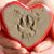 Cathy Roepke-Case's profile image