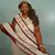 Teresa Hailey's profile image