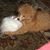 Merlene Judd's profile image