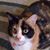 Lynn Wiltzius's profile image