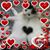 Lisa Toomey's profile image