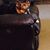 Elizabeth Gieseking's profile image