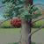 Marge Miccio's profile image