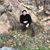 Ricardo Soria's profile image