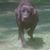 William McWhorter's profile image