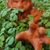 Dawn M Woltemath's profile image