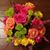 Sue Medema Darke's profile image