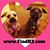 Shirley Hall's profile image