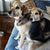 Ritamary Hanly's profile image