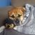Lee Ann Hamel Orsalock's profile image