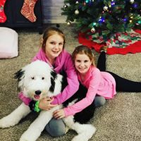Emily Dvorak's profile image