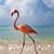 Debra Hale Davenport's profile image