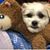 Jeff Miller's profile image