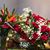 Blanca Alexaieff's profile image