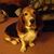 Carolyn Fidler's profile image