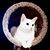 Michelle Campbell's profile image