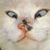 Nancy J Asplund's profile image
