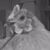 Tim Prachar's profile image