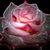 Esperanza Ruiz del Sol's profile image
