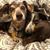 Dori Belle's profile image