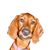 Lynn Fredericks's profile image