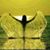 Laurelle Lemm's profile image