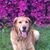 Launa Brannon's profile image