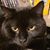 Chris Perin Jr.'s profile image