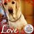 Rushikesh Bhagyawant's profile image