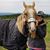 Ellen May's profile image