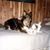 Karen Calley's profile image