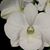 Gladys Roudel's profile image