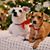 Julie Koop Covert's profile image