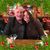 Nancy Burgio's profile image