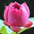 Jill Bart Yost's profile image