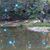 Sue Ludwick's profile image