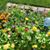 Kathie Mohler Schmidt's profile image
