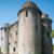 Carolyn Ruth Willis Jubb's profile image
