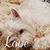 Bev Okeefe's profile image